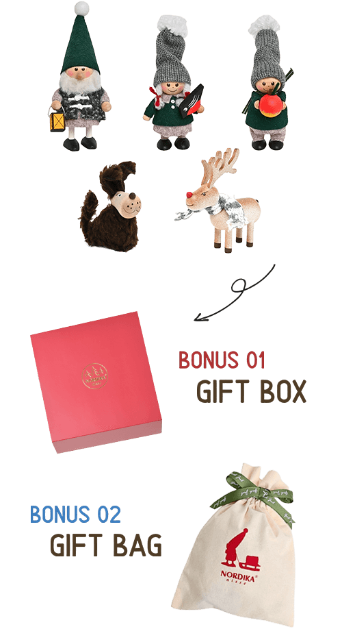 ルディカニッセオリジナルギフトバッグがついてくる